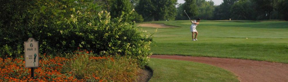 Golf course hole marker, surrounded by flowers. A golfer takes a swing in the background.