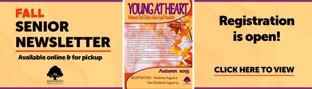 Fall 23 sr news web banner copy
