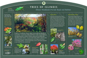 Natural area interpretive sign